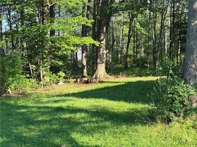 9497 Harrison St, Evans, NY 14006 - photo 26