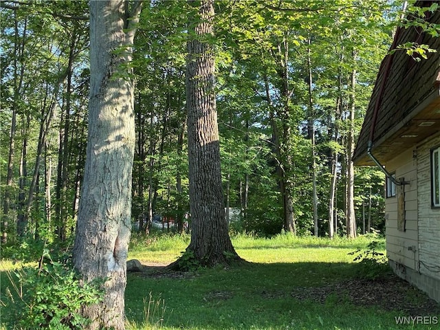 9497 Harrison St, Evans, NY 14006 - photo 27