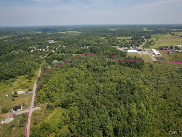 Mill St, Theresa, NY 13691 - photo 6
