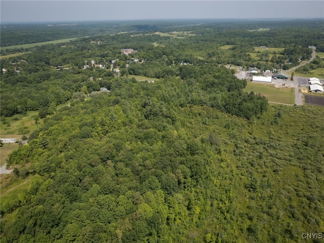 Mill St, Theresa, NY 13691 - photo 7