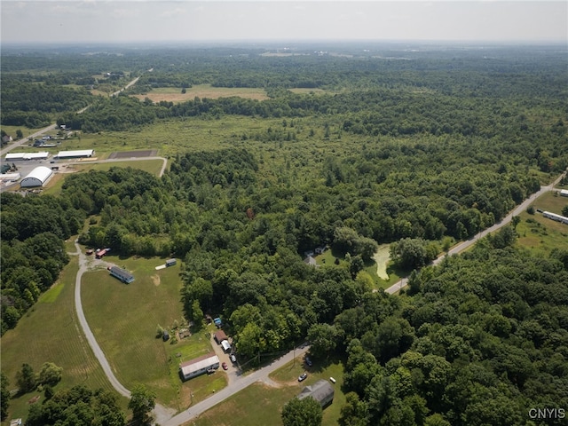 Mill St, Theresa, NY 13691 - photo 9