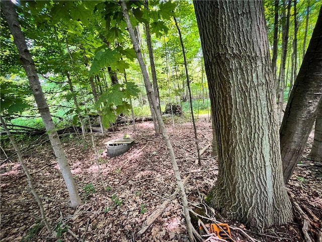 9008 State Route 3, Sandy Creek, NY 13145 - photo 39