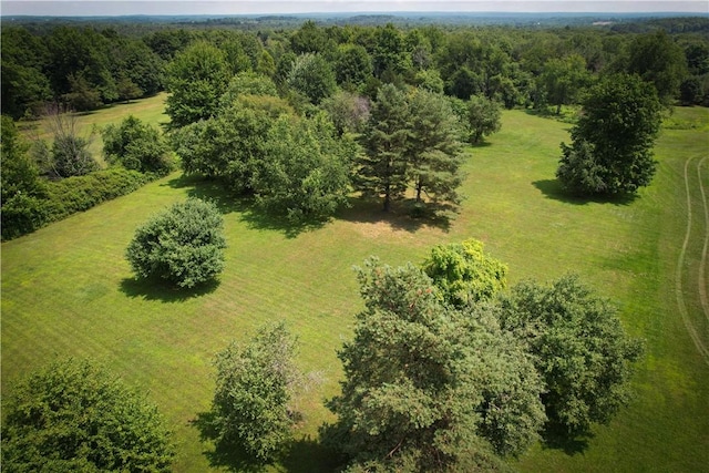 9008 State Route 3, Sandy Creek, NY 13145 - photo 44