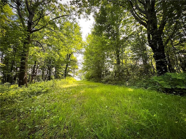 9008 State Route 3, Sandy Creek, NY 13145 - photo 19