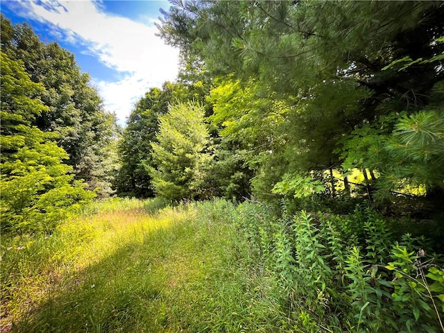 9008 State Route 3, Sandy Creek, NY 13145 - photo 22