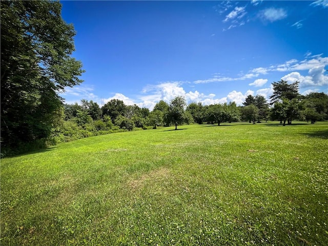 9008 State Route 3, Sandy Creek, NY 13145 - photo 10