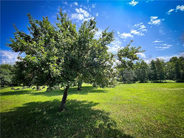 9008 State Route 3, Sandy Creek, NY 13145 - photo 11