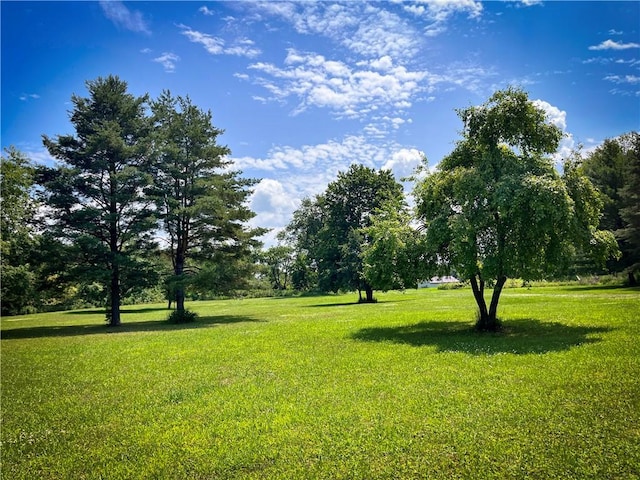 9008 State Route 3, Sandy Creek, NY 13145 - photo 13