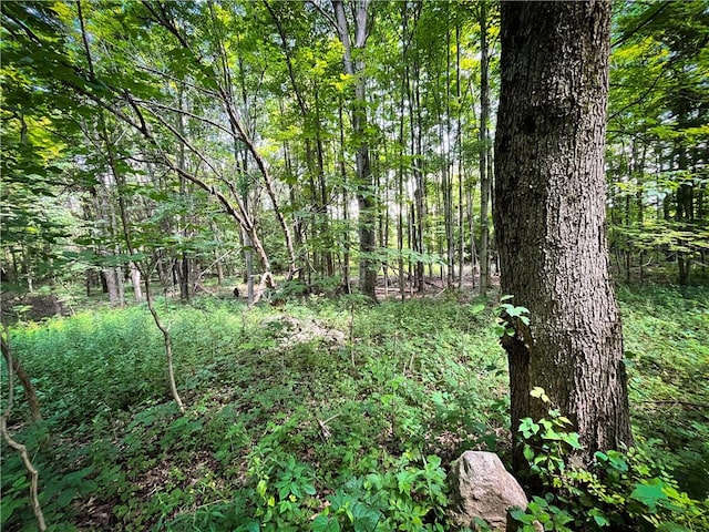 9008 State Route 3, Sandy Creek, NY 13145 - photo 16