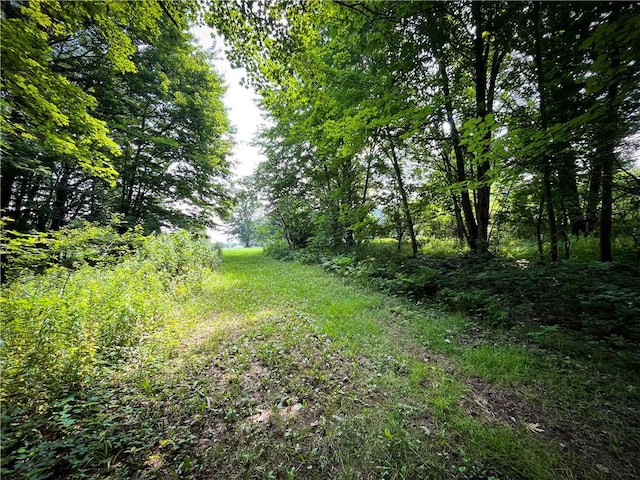 9008 State Route 3, Sandy Creek, NY 13145 - photo 17