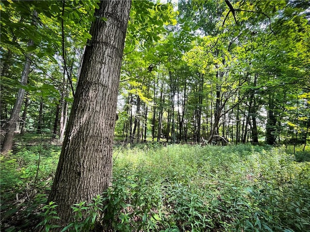 9008 State Route 3, Sandy Creek, NY 13145 - photo 18