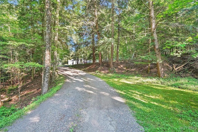 2834 Miller Rd, Wellsville, NY 14895 - photo 23