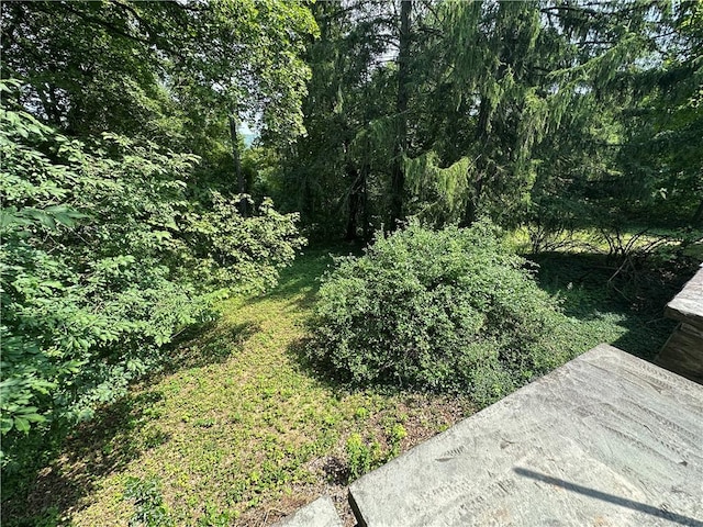 168 N Broad St, Norwich, NY 13815 - photo 9