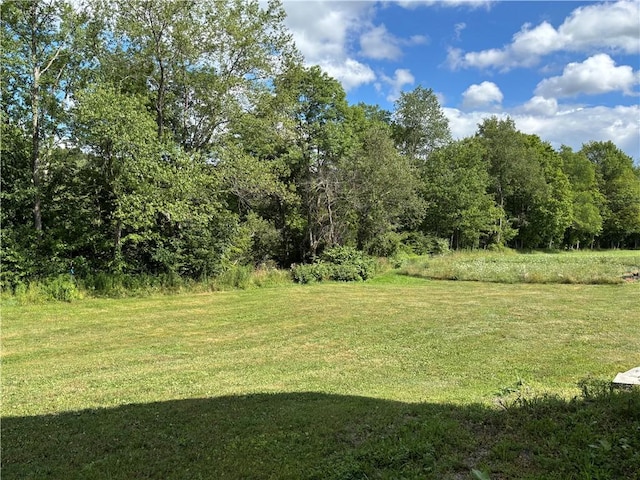 1574 County Highway 39, Worcester, NY 12197 - photo 47