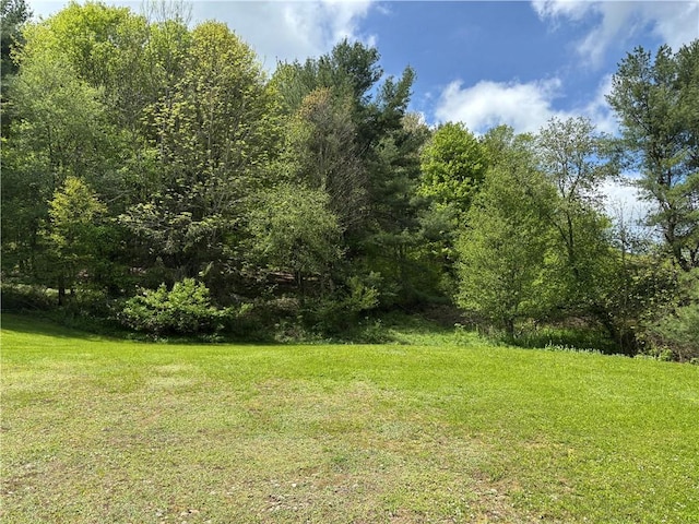 15114 State Highway 206, Walton, NY 13856 - photo 33