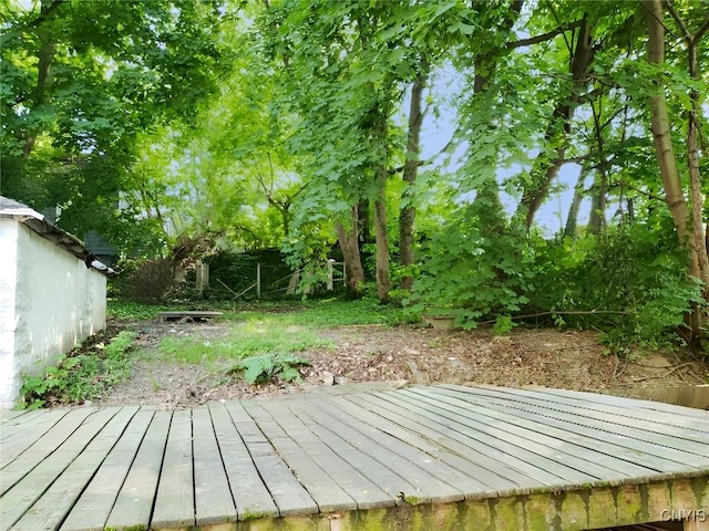 1609 Bellevue Ave, Syracuse, NY 13204 - photo 9