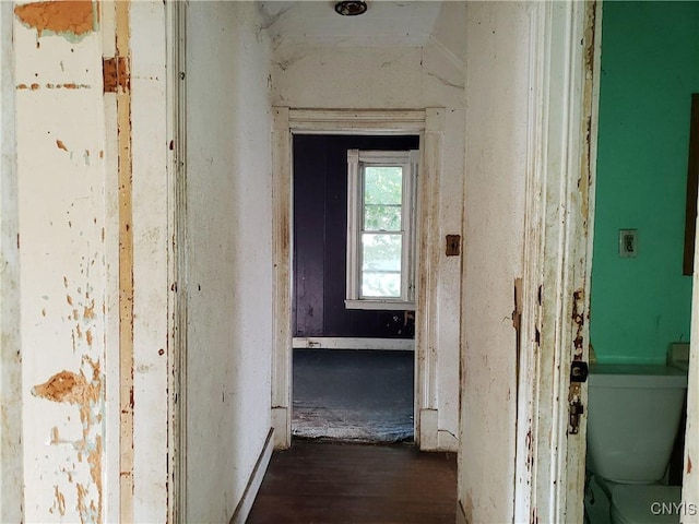 1609 Bellevue Ave, Syracuse, NY 13204 - photo 35