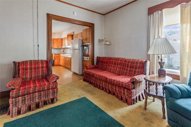 11 Sackett St, Seneca Falls, NY 13148 - photo 21