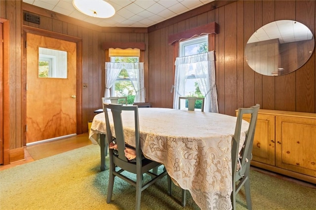 11 Sackett St, Seneca Falls, NY 13148 - photo 26
