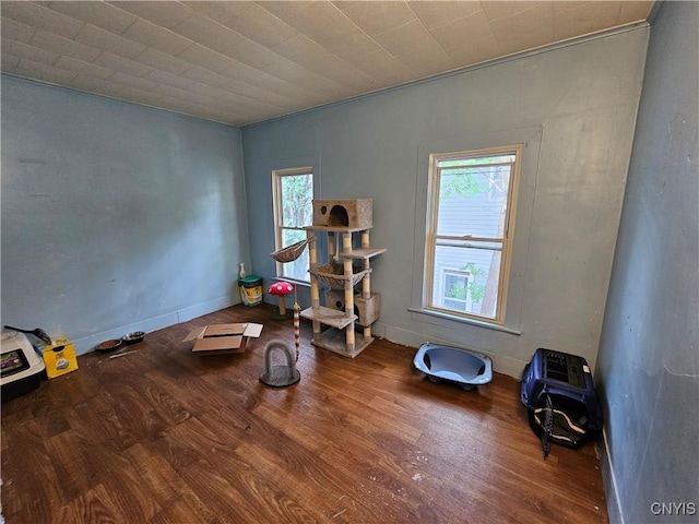 21-23 Derby Ave, Auburn, NY 13021 - photo 10