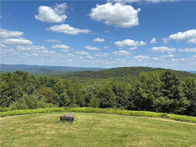 187 Mount Jefferson Rd, Jefferson, NY 12167 - photo 3