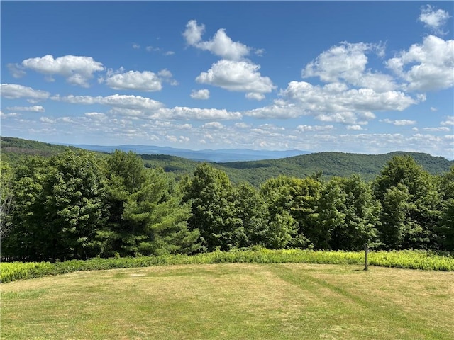 187 Mount Jefferson Rd, Jefferson, NY 12167 - photo 37