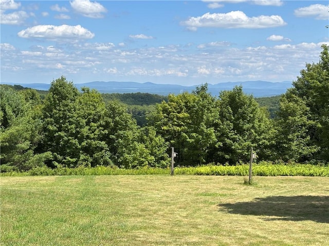187 Mount Jefferson Rd, Jefferson, NY 12167 - photo 38
