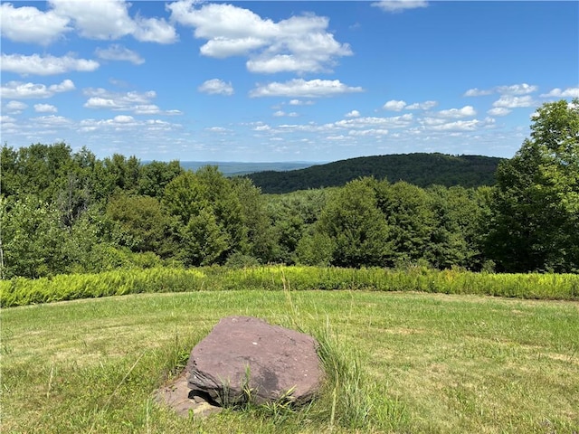 187 Mount Jefferson Rd, Jefferson, NY 12167 - photo 39
