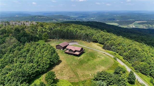 187 Mount Jefferson Rd, Jefferson, NY 12167 - photo 42