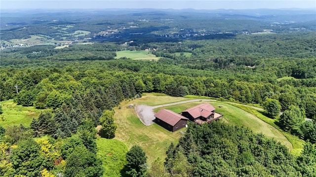 187 Mount Jefferson Rd, Jefferson, NY 12167 - photo 43