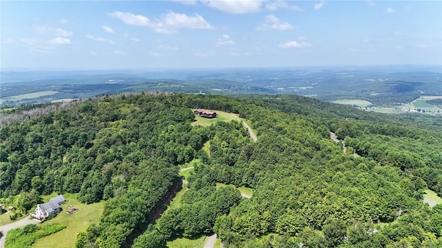 187 Mount Jefferson Rd, Jefferson, NY 12167 - photo 45