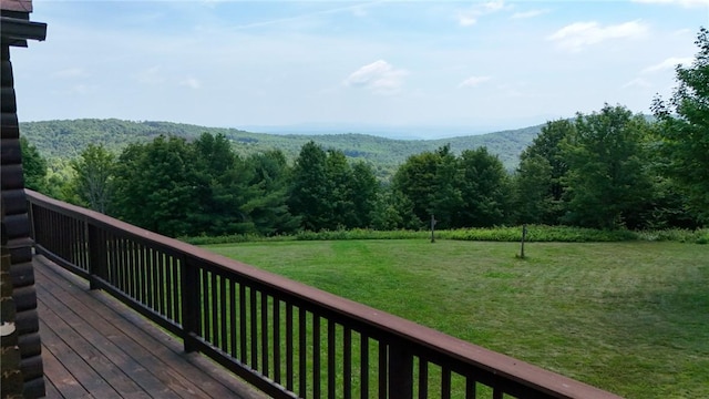 187 Mount Jefferson Rd, Jefferson, NY 12167 - photo 34