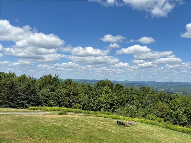 187 Mount Jefferson Rd, Jefferson, NY 12167 - photo 36