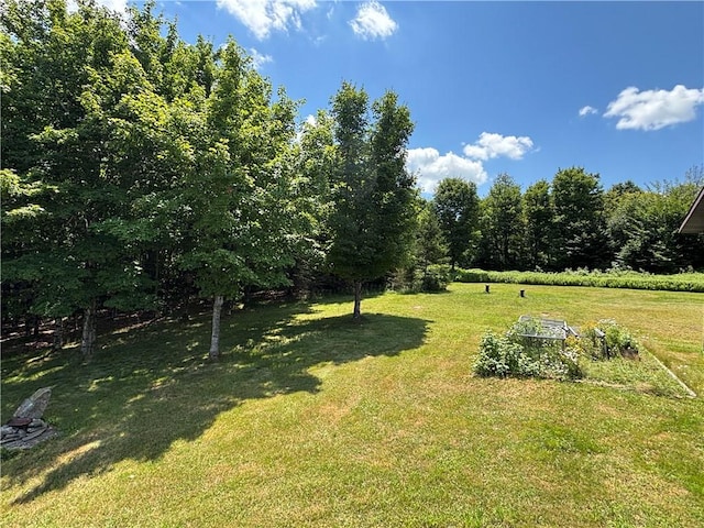 187 Mount Jefferson Rd, Jefferson, NY 12167 - photo 40