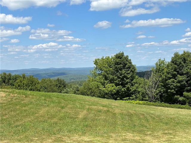 187 Mount Jefferson Rd, Jefferson, NY 12167 - photo 41