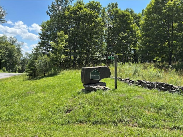 187 Mount Jefferson Rd, Jefferson, NY 12167 - photo 27