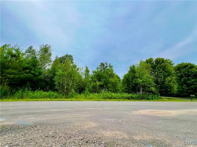 LOT12 Forest Ridge Dr, Rome, NY 13440 - photo 1