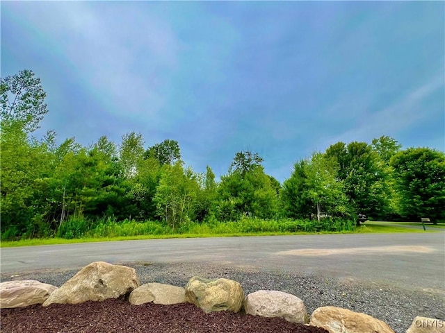 LOT12 Forest Ridge Dr, Rome, NY 13440 - photo 2