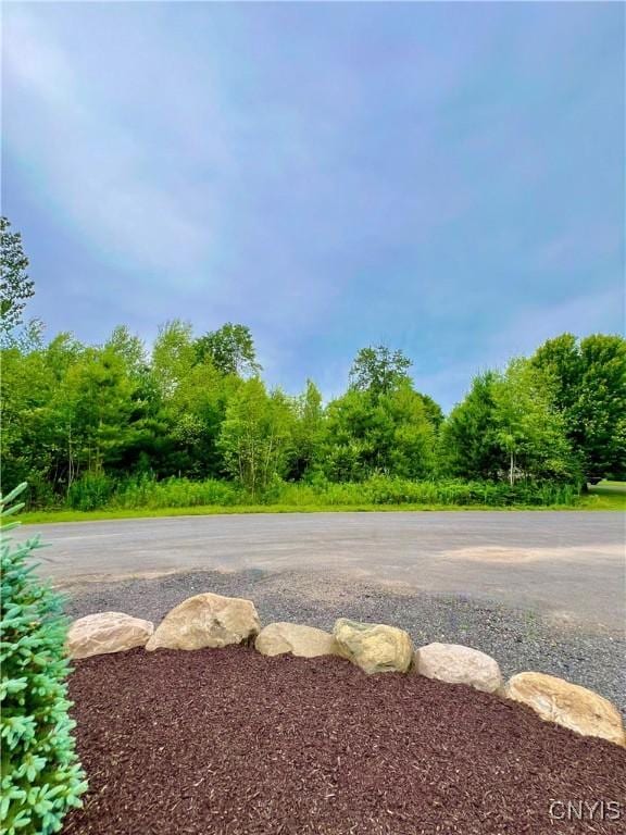 LOT12 Forest Ridge Dr, Rome, NY 13440 - photo 3