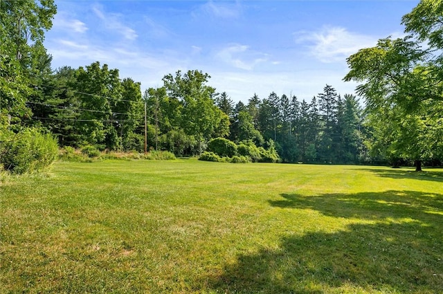232 Fisher Rd, Chili, NY 14624 - photo 6