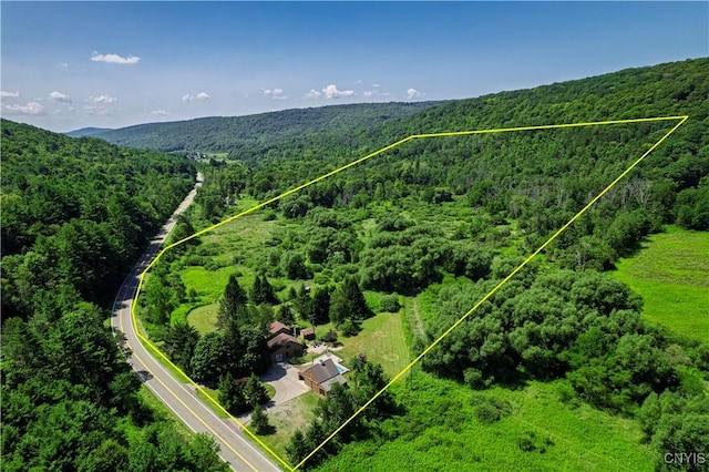 2597 Wyncoop Creek Rd, Erin, NY 14838 - photo 4