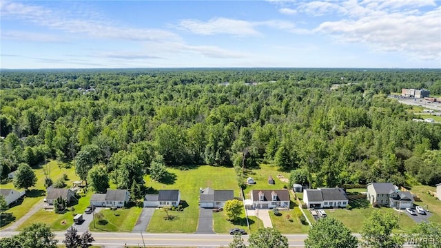 6244 Bartz Rd, Lockport Town, NY 14094 - photo 24