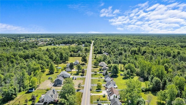 6244 Bartz Rd, Lockport Town, NY 14094 - photo 25