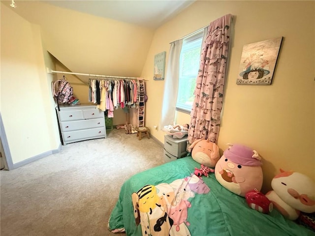 165 Fairview Rd, Erin, NY 14838 - photo 20