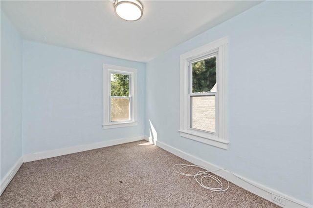 67 Seager St, Rochester, NY 14620 - photo 28