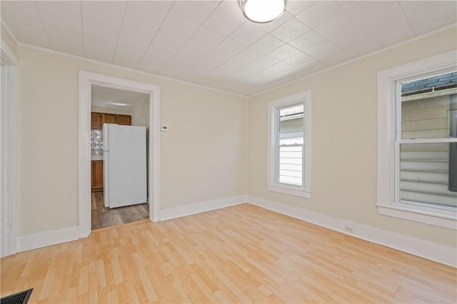67 Seager St, Rochester, NY 14620 - photo 10
