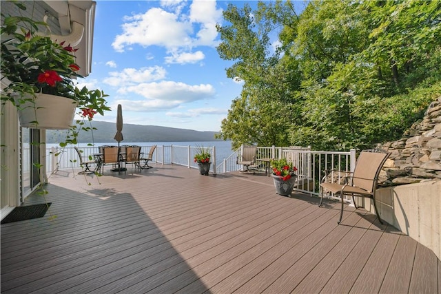 15974 W Lake Rd, Pulteney, NY 14874 - photo 40