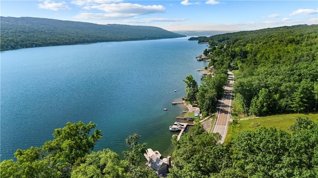 15974 W Lake Rd, Pulteney, NY 14874 - photo 49