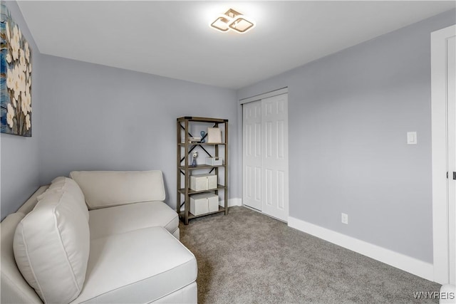27 Basswood Dr, Cheektowaga, NY 14227 - photo 25