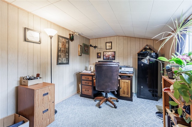 929 Paul Rd, Chili, NY 14624 - photo 20